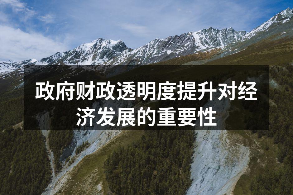 政府财政透明度提升对经济发展的重要性